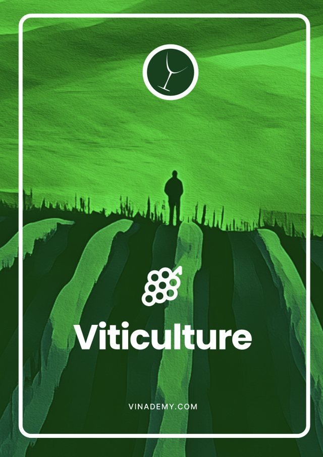 Carta de viticultura