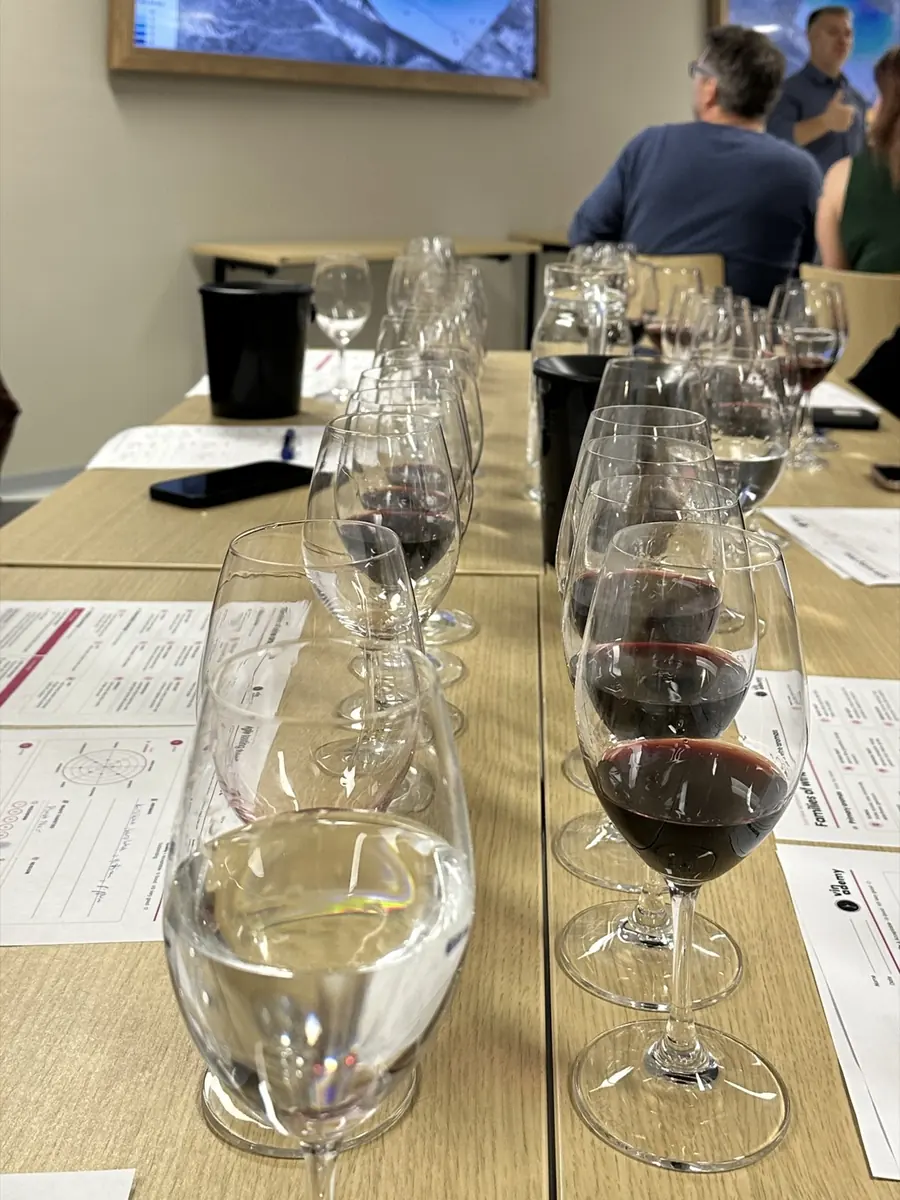 A line of wine glasses and water glasses ready for tasting